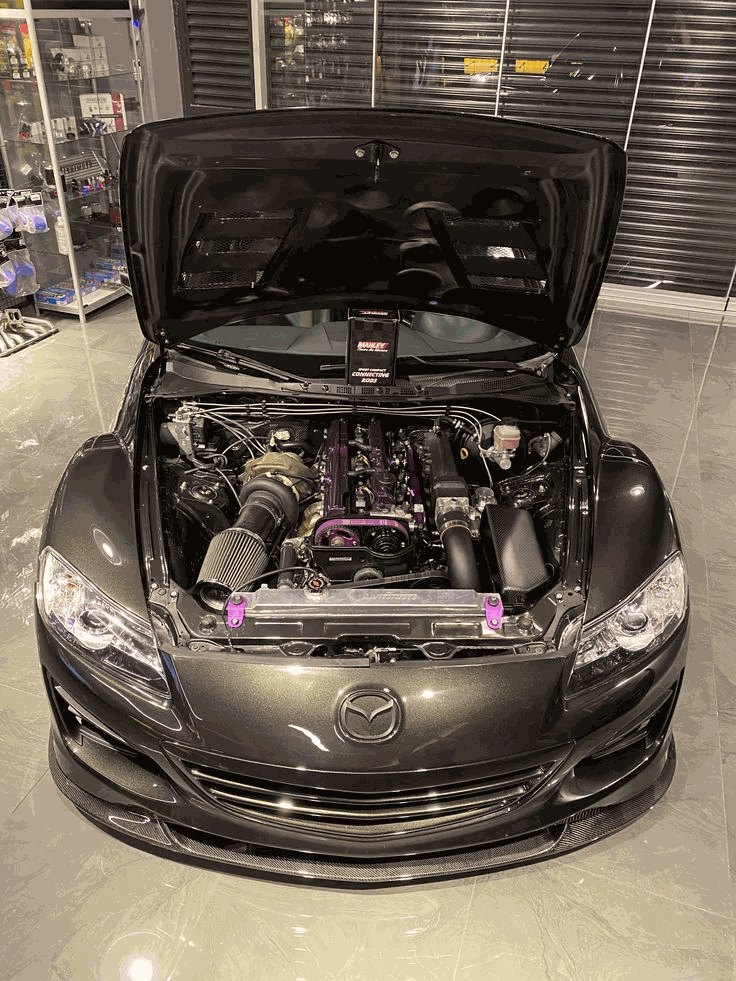 Performance car engine bay after detailed cleaning